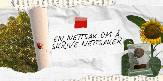 EN NETTSAK OM NETTSAK av Dennis Li