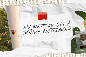 En nettsak om å skrive nettsaker