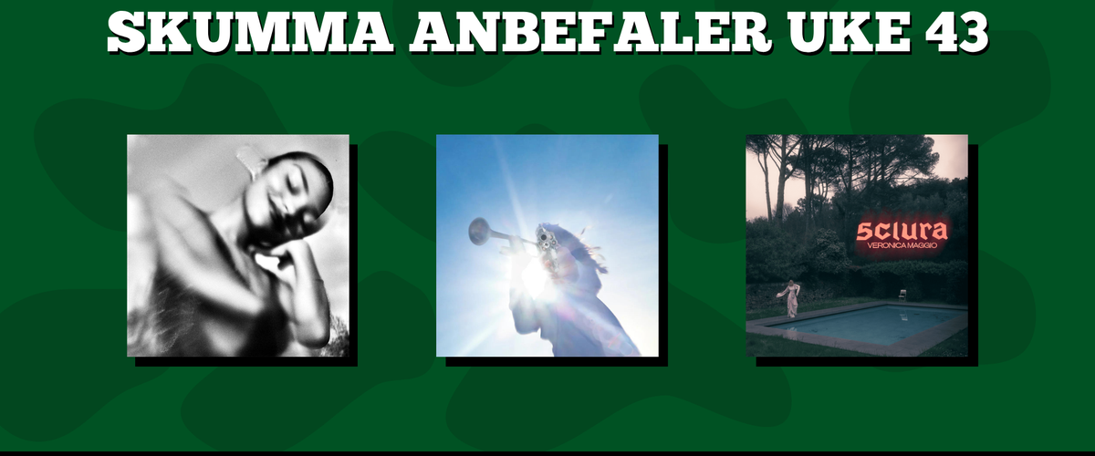 Skumma Anbefaler Uke 43