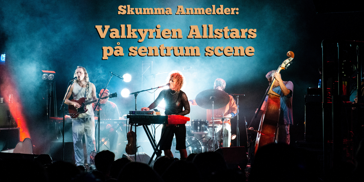 Valkyrien Allstars nettsak cover