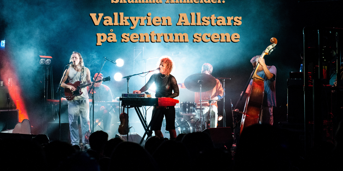 Valkyrien Allstars nettsak cover